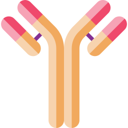 antibody icon